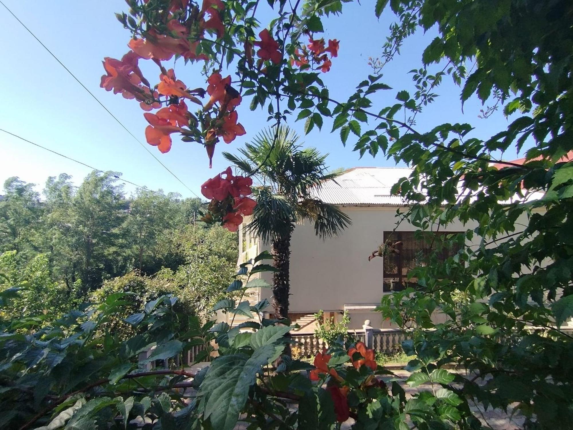 Hostel Kutaisi By Kote Luaran gambar